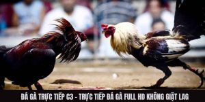 Đá Gà Trực Tiếp C3 - Trực Tiếp Đá Gà Full HD Không Giật Lag