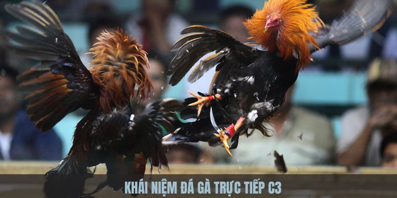 Khái niệm đá gà trực tiếp C3