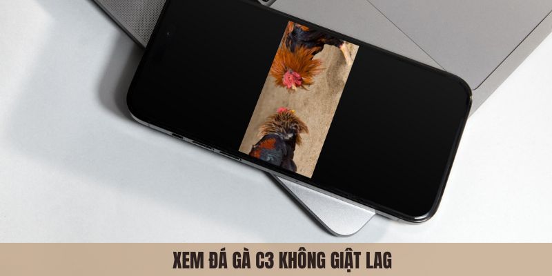 Xem đá gà C3 không giật lag