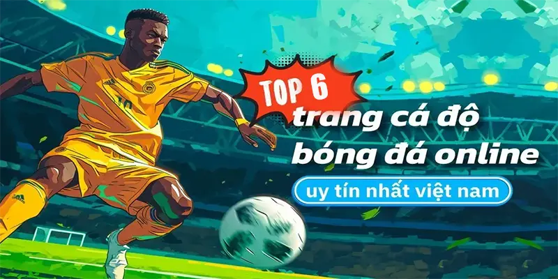 Tổng Hợp Top 6 Trang Cá Độ Bóng Đá Uy Tín Nhất Việt Nam